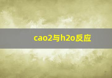 cao2与h2o反应