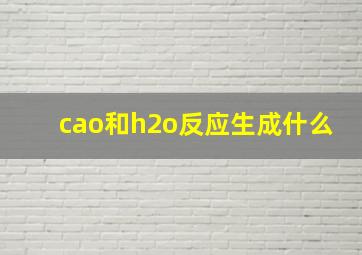 cao和h2o反应生成什么