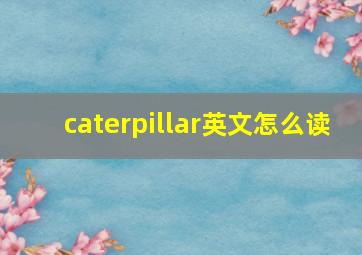 caterpillar英文怎么读