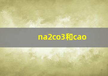 na2co3和cao