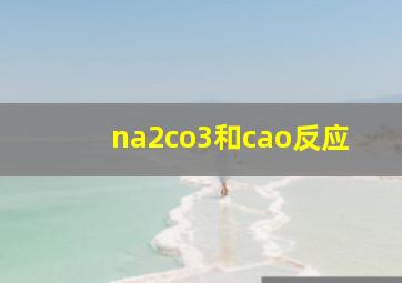 na2co3和cao反应