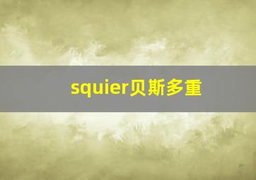 squier贝斯多重