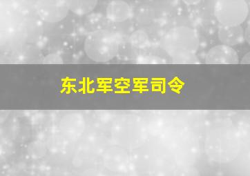 东北军空军司令