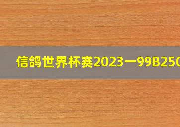 信鸽世界杯赛2023一99B25072