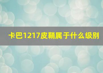 卡巴1217皮鞘属于什么级别