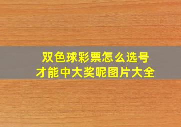 双色球彩票怎么选号才能中大奖呢图片大全