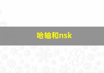 哈轴和nsk