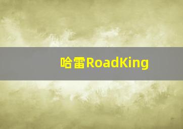 哈雷RoadKing