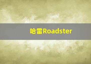 哈雷Roadster