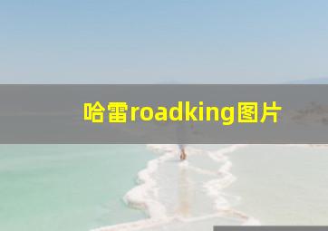 哈雷roadking图片