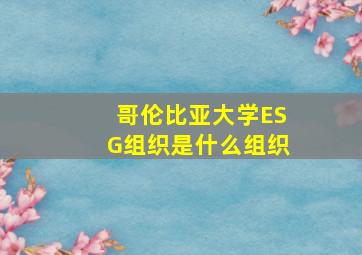 哥伦比亚大学ESG组织是什么组织