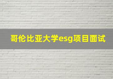 哥伦比亚大学esg项目面试