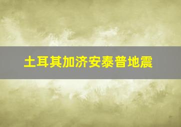 土耳其加济安泰普地震