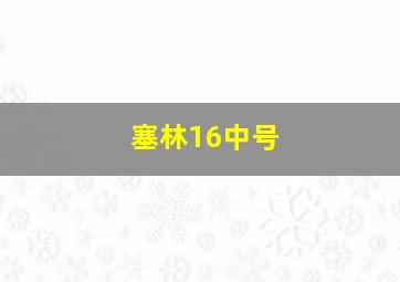 塞林16中号