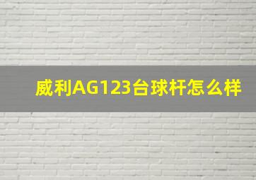 威利AG123台球杆怎么样