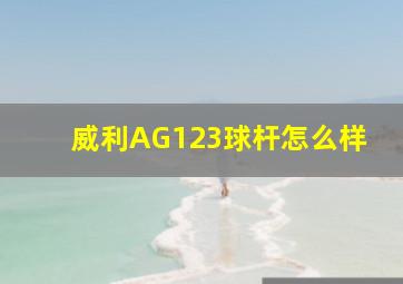 威利AG123球杆怎么样