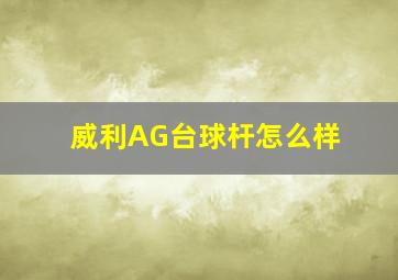 威利AG台球杆怎么样