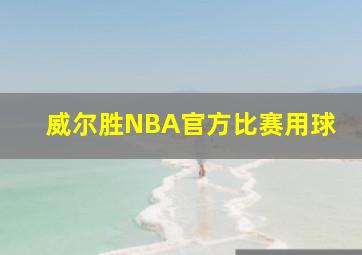 威尔胜NBA官方比赛用球