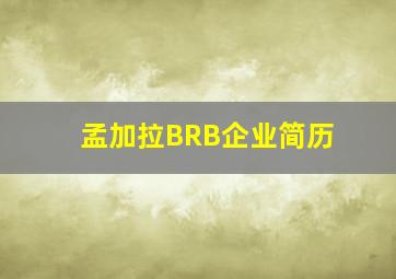 孟加拉BRB企业简历