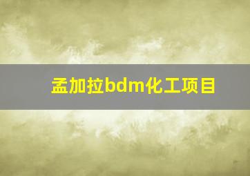 孟加拉bdm化工项目