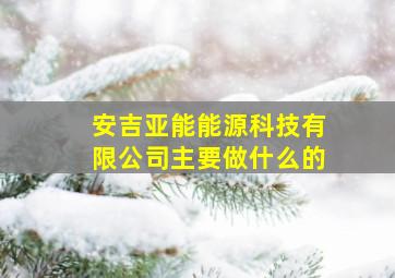 安吉亚能能源科技有限公司主要做什么的