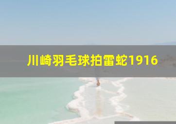 川崎羽毛球拍雷蛇1916