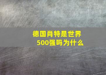 德国肖特是世界500强吗为什么