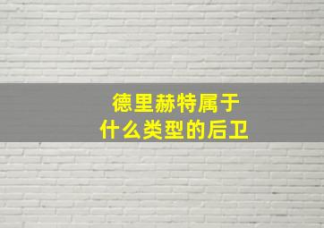 德里赫特属于什么类型的后卫