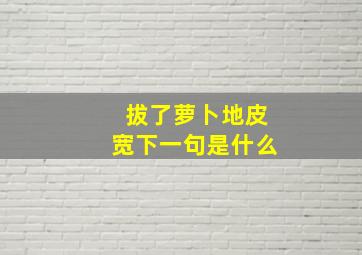 拔了萝卜地皮宽下一句是什么