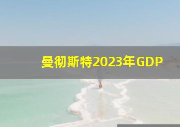 曼彻斯特2023年GDP