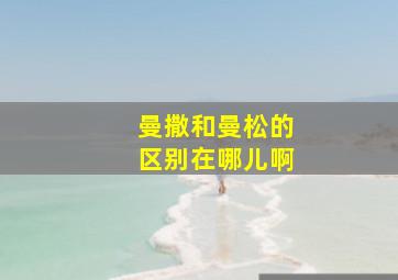 曼撒和曼松的区别在哪儿啊