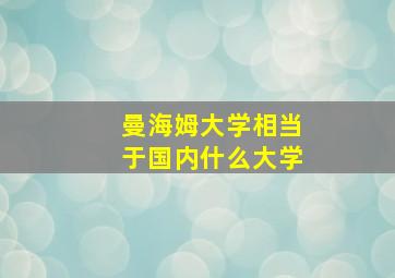 曼海姆大学相当于国内什么大学