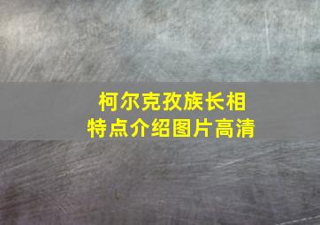 柯尔克孜族长相特点介绍图片高清