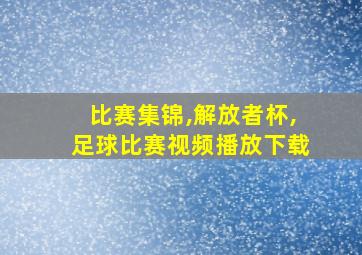 比赛集锦,解放者杯,足球比赛视频播放下载