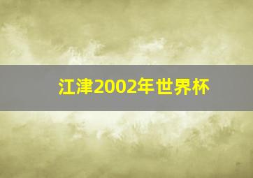 江津2002年世界杯