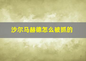 沙尔马赫德怎么被抓的