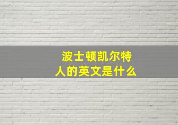 波士顿凯尔特人的英文是什么