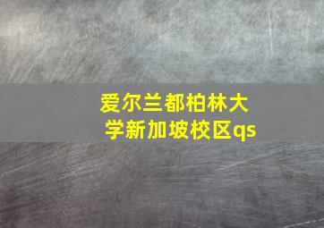 爱尔兰都柏林大学新加坡校区qs