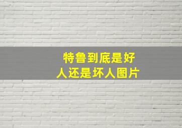 特鲁到底是好人还是坏人图片