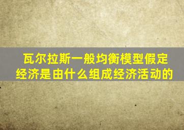 瓦尔拉斯一般均衡模型假定经济是由什么组成经济活动的