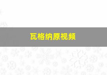 瓦格纳原视频