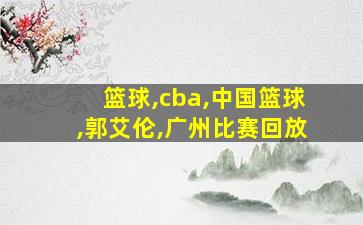 篮球,cba,中国篮球,郭艾伦,广州比赛回放