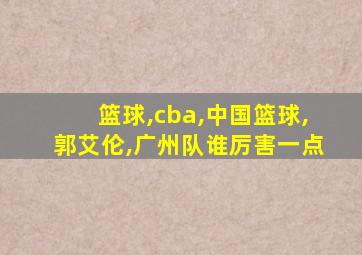 篮球,cba,中国篮球,郭艾伦,广州队谁厉害一点