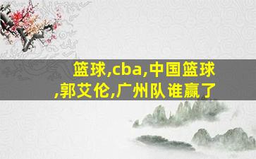 篮球,cba,中国篮球,郭艾伦,广州队谁赢了