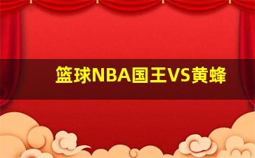 篮球NBA国王VS黄蜂