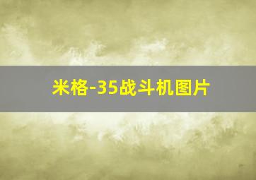 米格-35战斗机图片