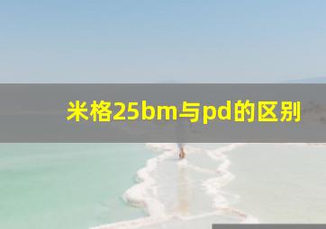 米格25bm与pd的区别