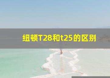 纽顿T28和t25的区别