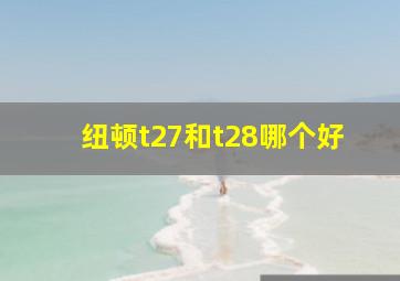 纽顿t27和t28哪个好