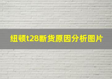 纽顿t28断货原因分析图片